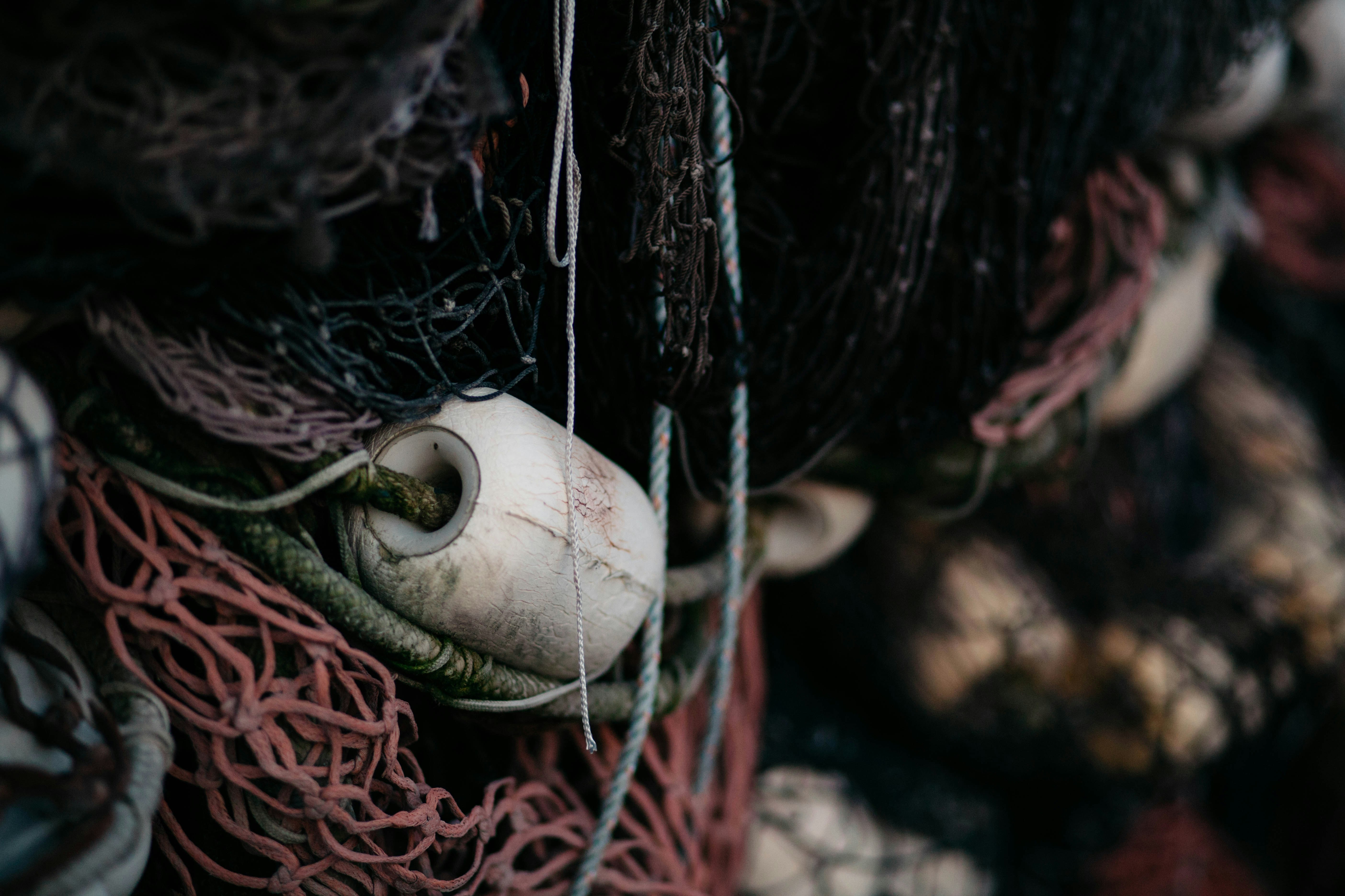 closeup photo of red and black fishing net